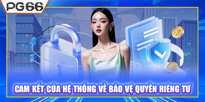 Cam kết của hệ thống về bảo vệ quyền riêng tư