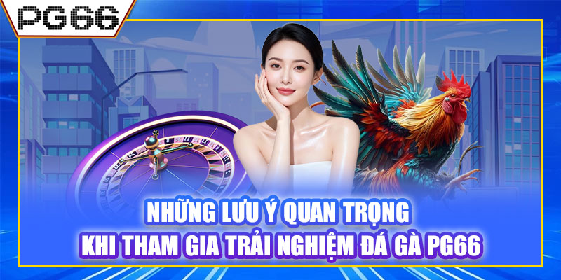 Những lưu ý quan trọng khi tham gia trải nghiệm đá gà PG66